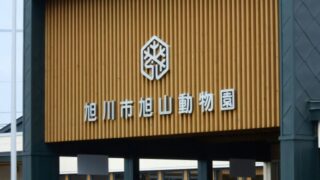 旭山動物園GW2023の混雑状況は？渋滞回避ルートもご紹介！