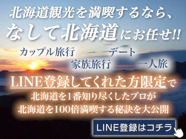 札幌観光で冬に子供連れに人気のスポットランキングbest5 なして北海道