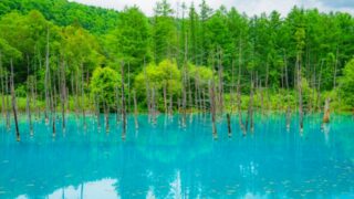 青い池で車なしの観光は何泊必要？1泊2日＆2泊3日のモデルケースもご紹介！