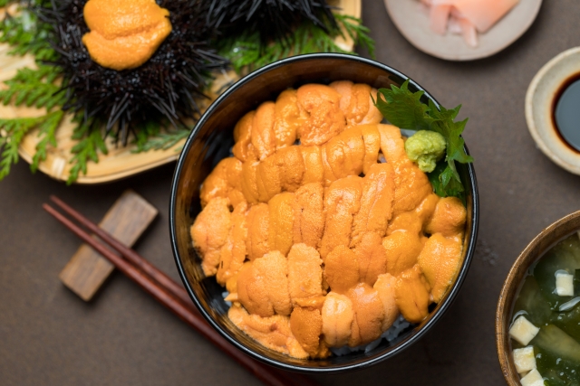 北海道えりもでウニ丼の美味しい旬の時期はいつからいつまで？予約ができる店も徹底調査！