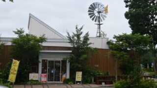 帯広ますやパン麦音グルメブログ2022！おいしいまずいか感想をご紹介！