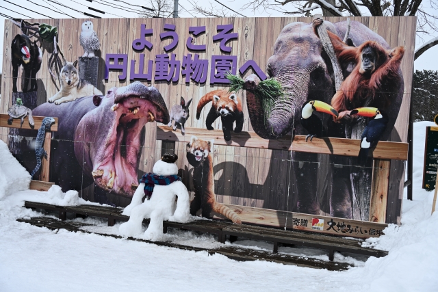 札幌円山動物園で冬の所要時間は何分？おすすめの周り方もご紹介!