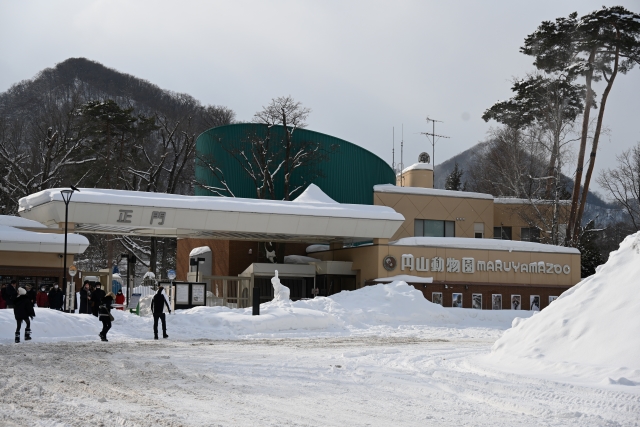 札幌円山動物園で冬はベビーカーは雪で使えない？対策もご紹介！