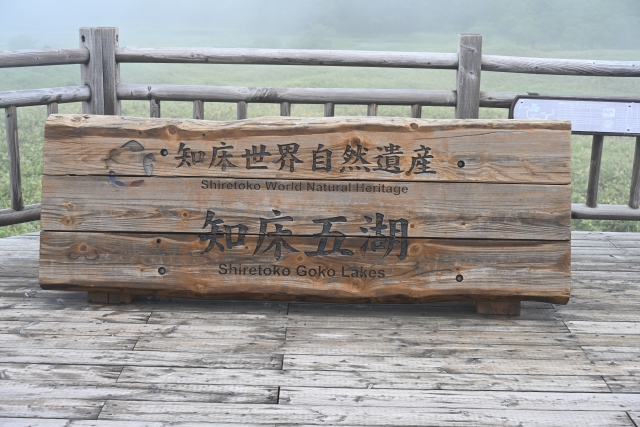 知床五湖で雨の日観光の楽しみ方は？おすすめの見所もご紹介！