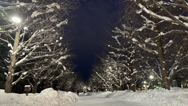 2024年北海道雪はいつまで降る？ピーク＆雪解け時期も徹底調査！