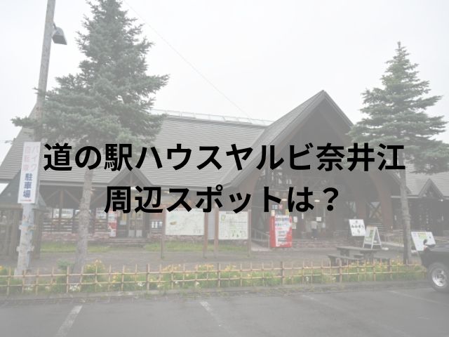 道の駅ハウスヤルビ奈井江車中泊ブログ！周辺スポットもご紹介!